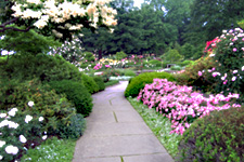 garden_path.jpg