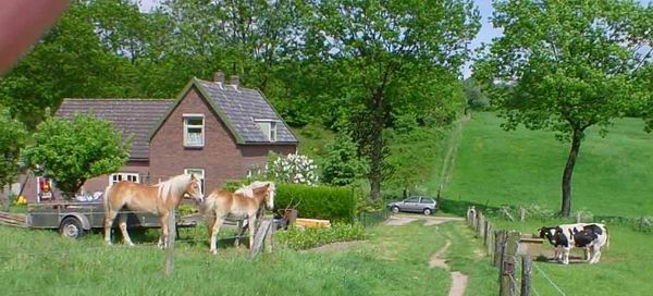 resize of drenthe%20(64).jpg