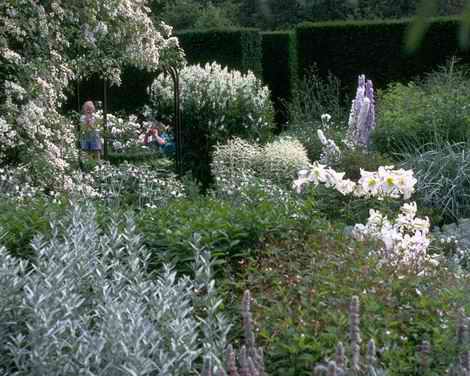 resize  garden-(20).jpg