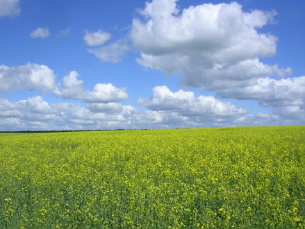 dscn7460.jpg