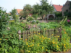 blumen_im_bauerngarten_radebeul_zitzschewig.jpg