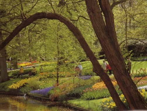 keukenhof.jpg