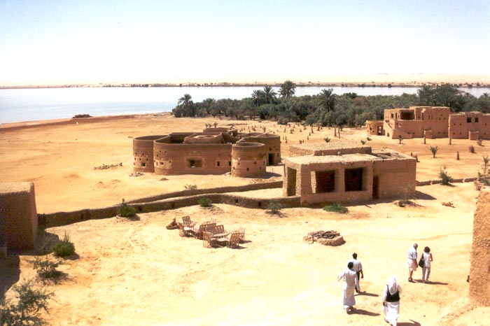 ecolodge dr morsi.jpg