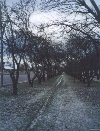 3_alley_late_autumn.jpg