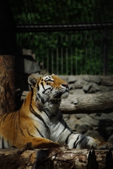 IMGP3131.JPG