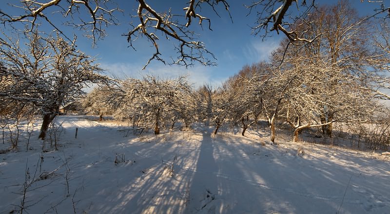 pano-04-2-1-800.jpg